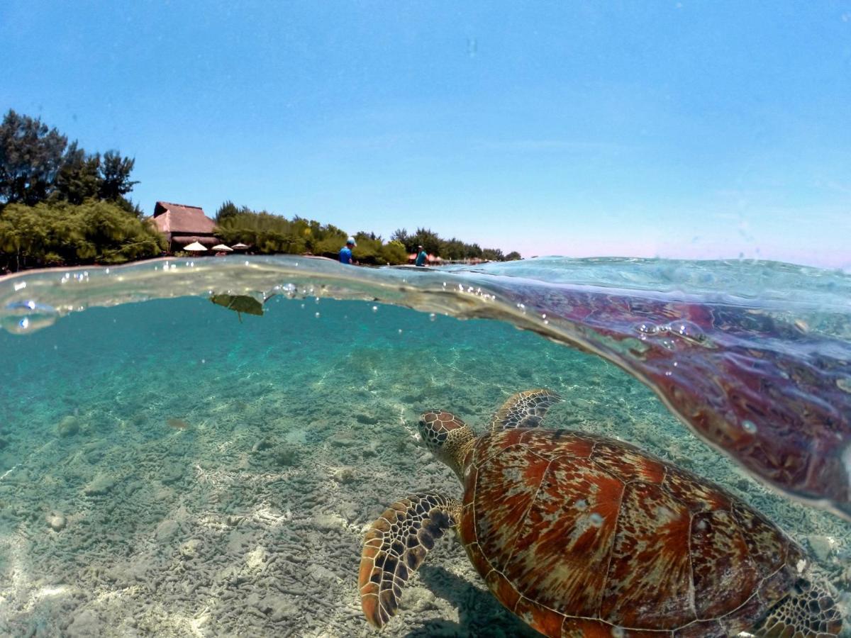 Mimpi Bungalow Gili Meno Dış mekan fotoğraf